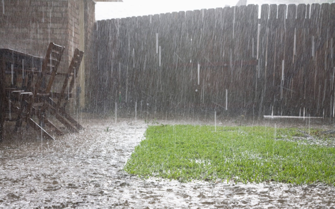 7 consigli per proteggere le piante da pioggia e temporali